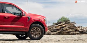 Ford F-150 with Fuel 1-Piece Wheels Rebar 6 - D850